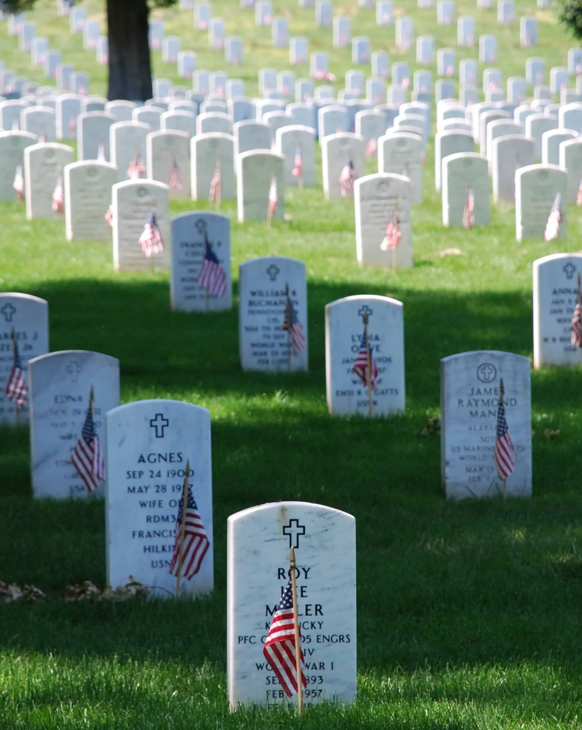 Memorial Day 2022 Image Graves at Arlington on Memorial Day